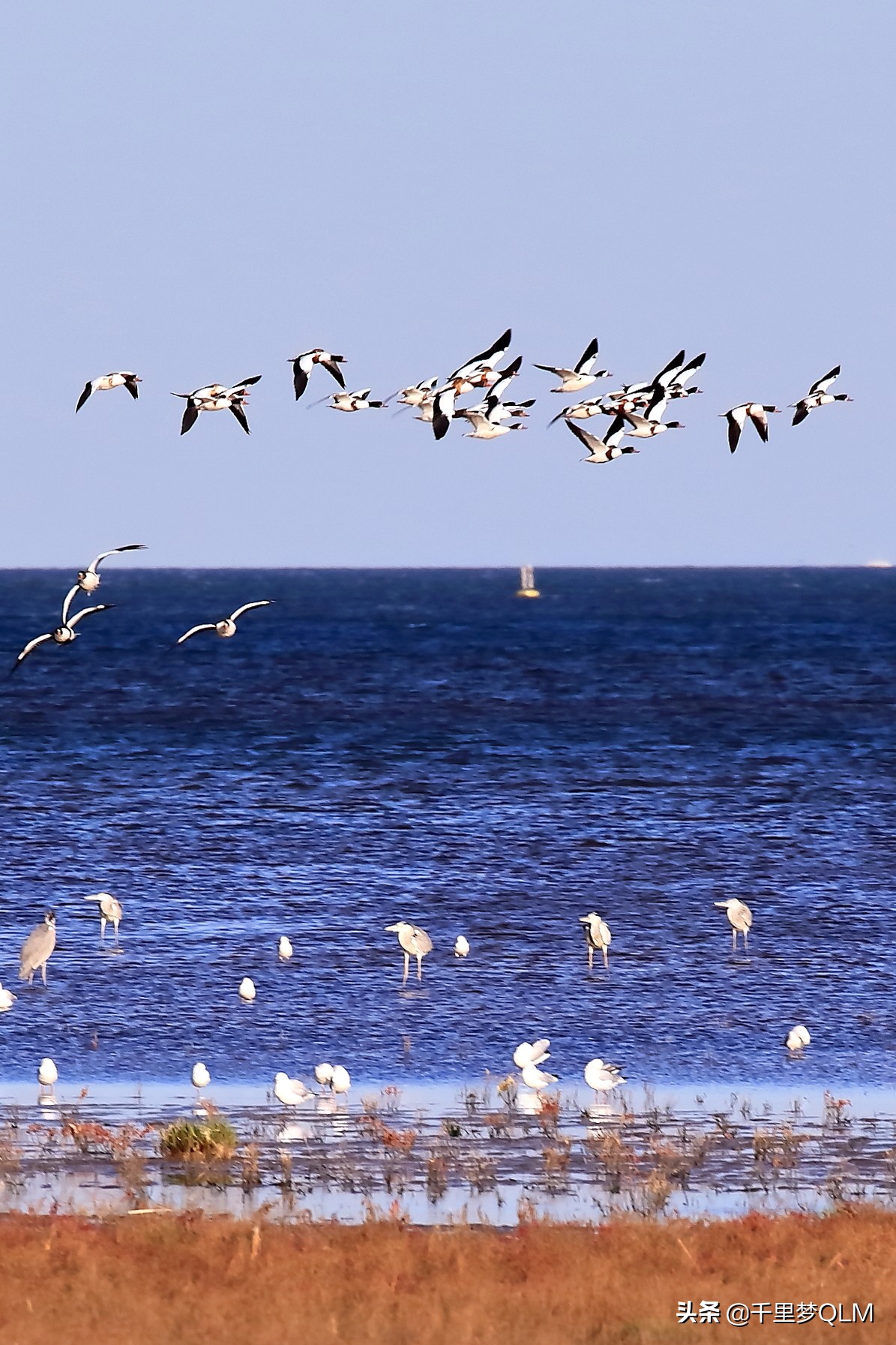 黄金海岸是海边吗,黄金海岸在哪里