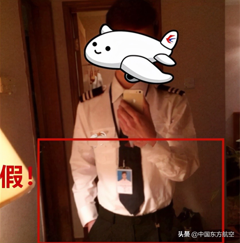 飞行员打假事件,飞行员评判标准