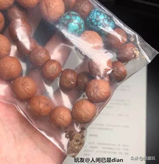 放了2年的凤眼,翻出来,虫子能组一个篮球队了