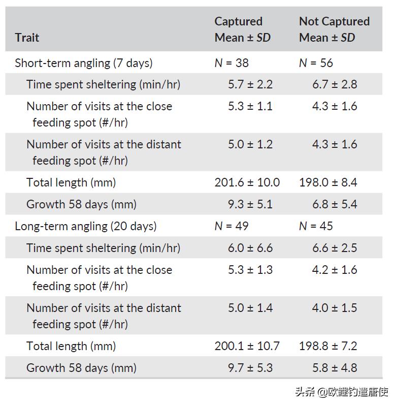 为什么鲤鱼比鲫鱼难钓,为什么鲫鱼这么难咬钩