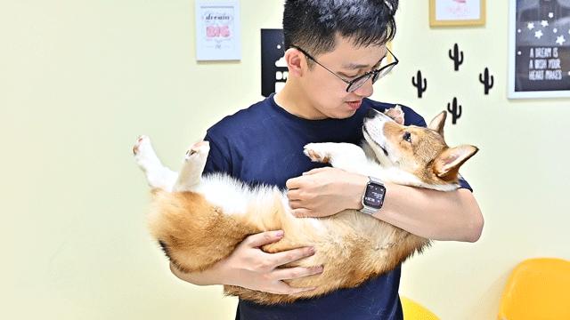 吸屁屁,短腿大耳肉嘟嘟,这家店进去就出不来了…