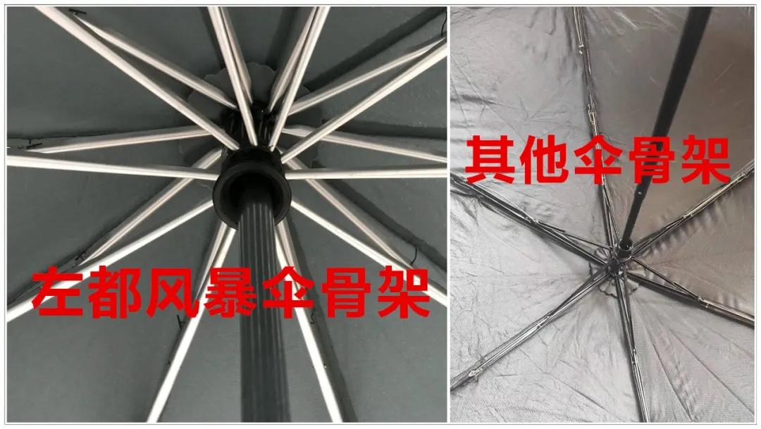 十大顶级雨伞品牌天堂伞,天堂伞质量排名第一