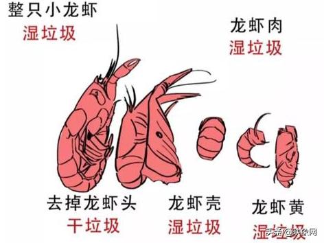 为什么上海这么着急垃圾分类,上海市民被垃圾分类逼成段子手