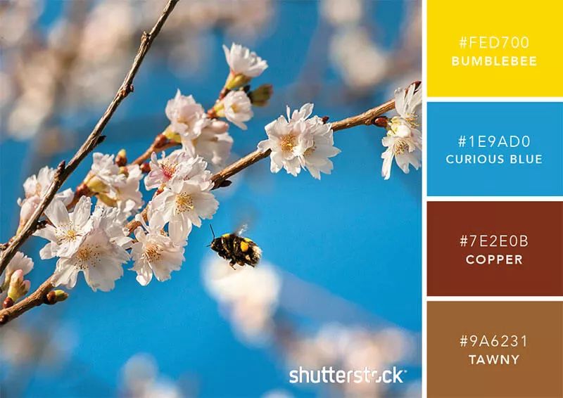 色彩搭配个人形象设计,色彩搭配都是业主亲自选择