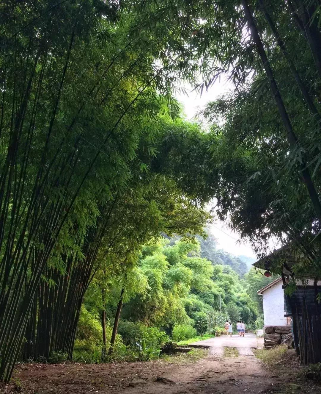 热炸！四川这些小众避暑佳境，光看图就能凉快10℃