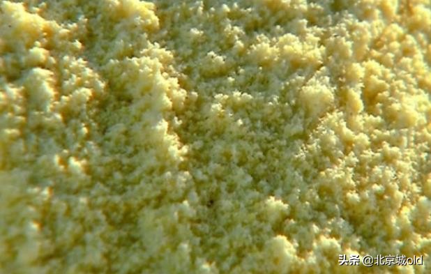 四九城百年老粮店，宣武区老字号大和恒，老北京人教您如何吃粗粮