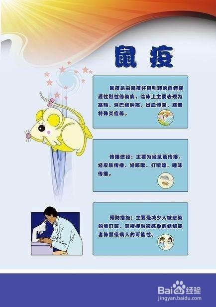 灭鼠最快方法,怎样才能灭鼠啊