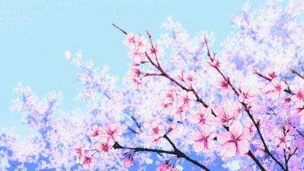 石象湖风景区郁金香开了吗,成都石象湖的郁金香什么时候开