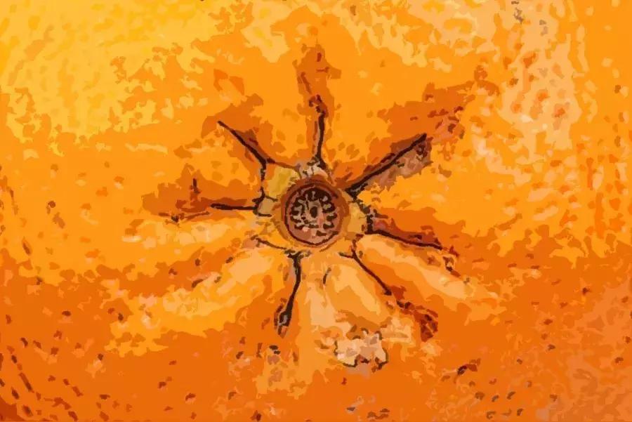 菊花残,满地伤!现在*眼屁**不好的年轻人,越来越多了