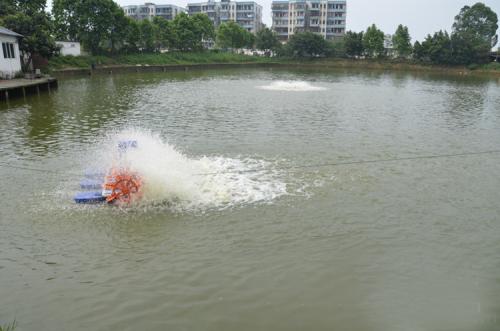 野钓的鱼有股汽油味要养多久,钓到河鱼有柴油味怎么处理