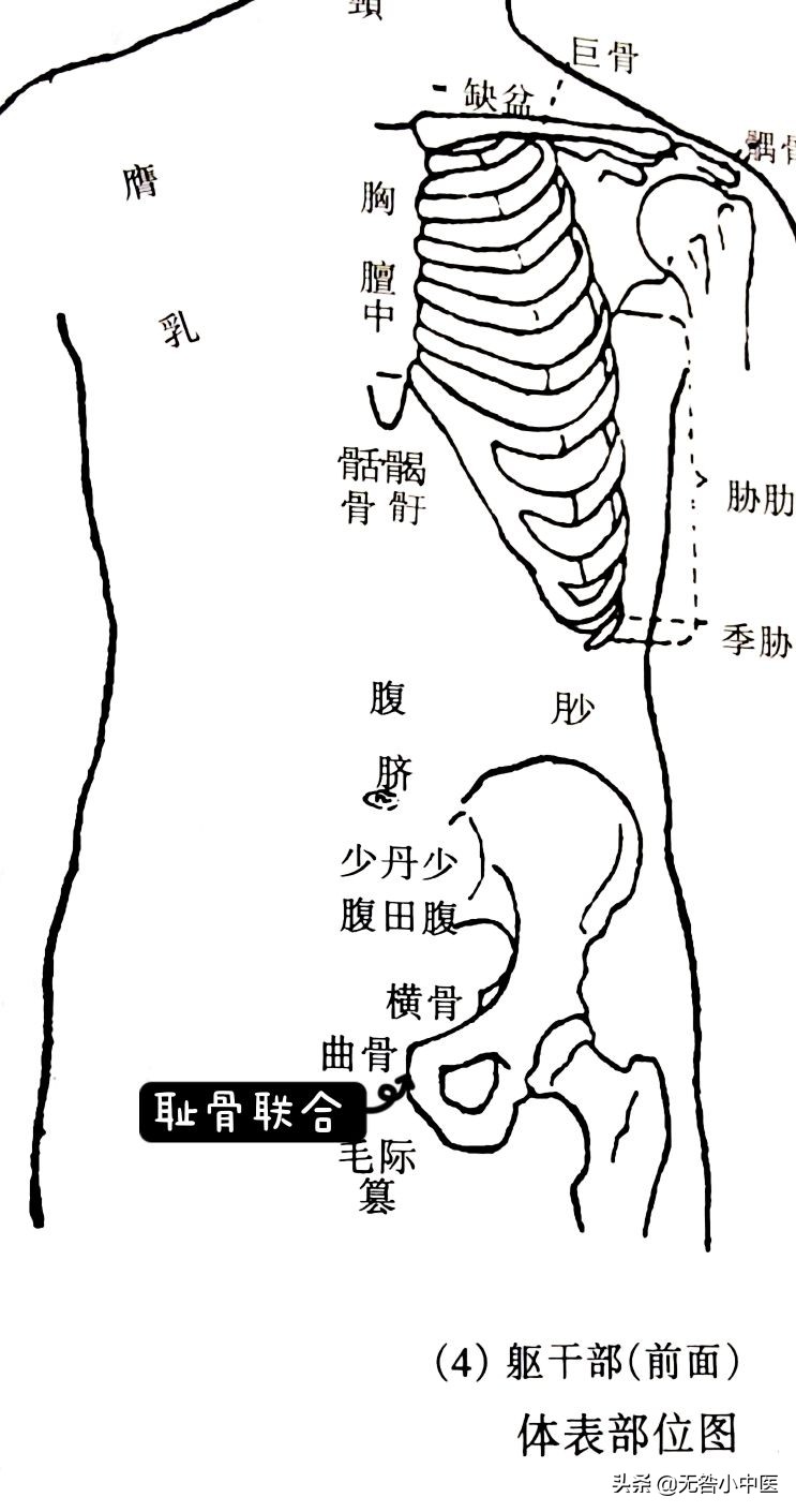 针灸针32号针的规格,曲骨针灸
