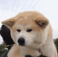 一封离职告别信,一封写给前任告别信