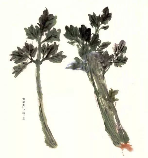 写意蔬果简单画法,国画蔬菜写意作品