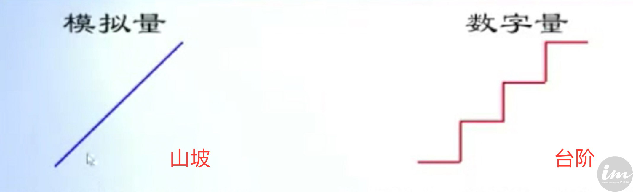 什么是数码味道,数码味是什么味道