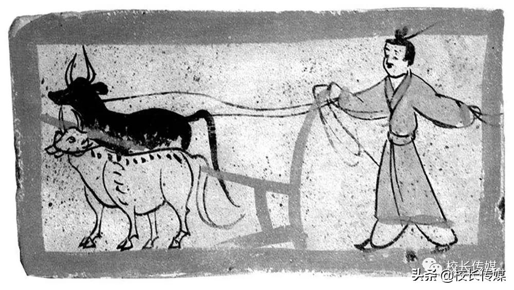 安徽黄山初三班主任跳楼自杀：那些从不生病的老师，早已遍体鳞伤