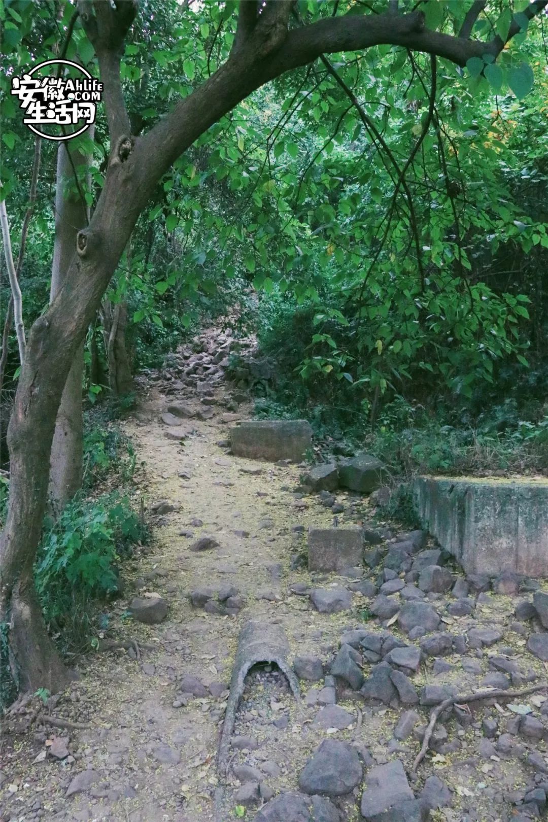 大蜀山,大蜀山爱情故事