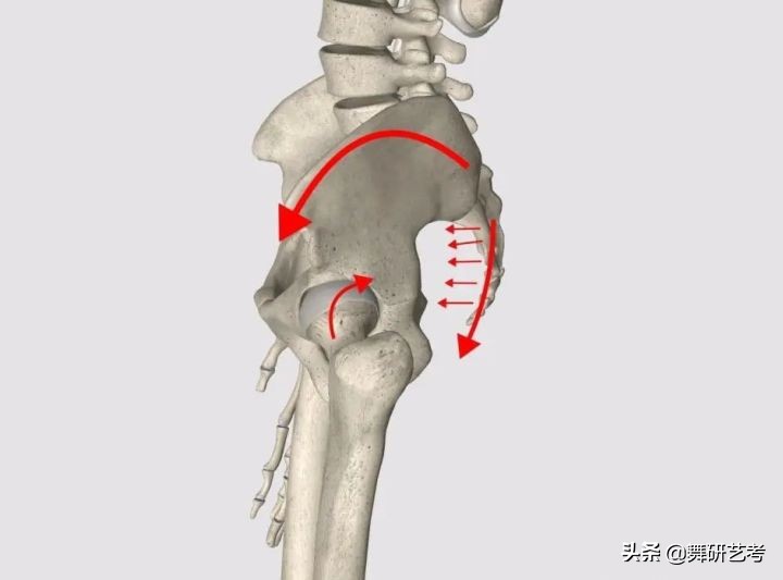 什么是开胯？我来告诉你