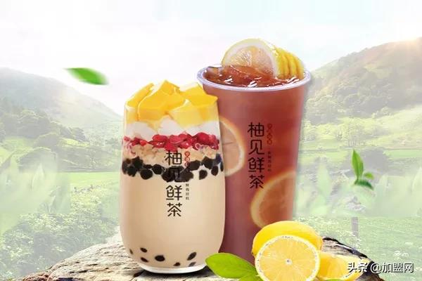 茶饮加盟如何快速开店,2024鲜奶茶加盟招商