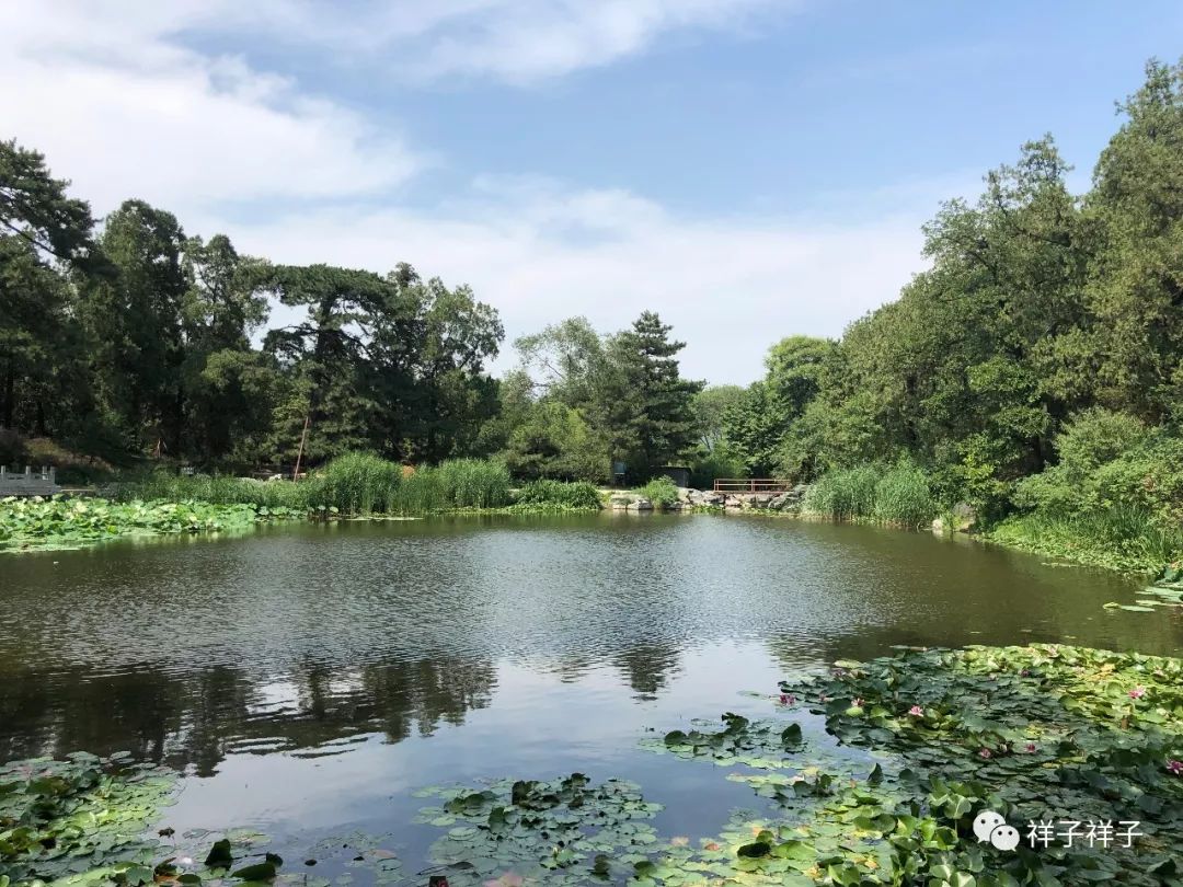 北京香山公园5.1攻略,香山静宜园二十八景