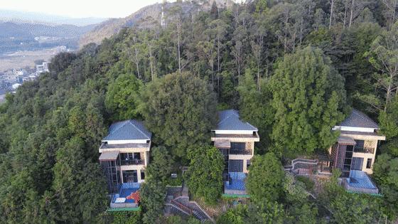 中国天然氧吧在惠州哪里,惠州大自然氧吧