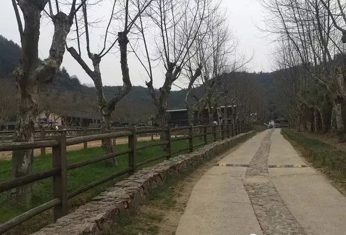 写文章从裸心乡到裸心谷,深度解读中国野奢度假头牌项目:裸心谷