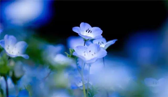 与人处世千万莫要斤斤计较,与人处事要大度