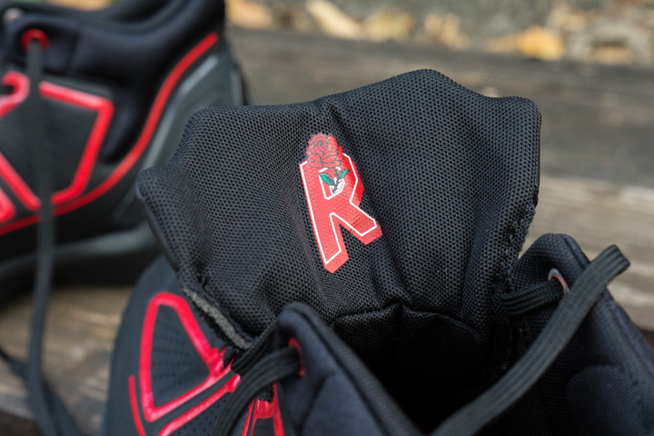 阿迪达斯罗斯经典赛事回顾,阿迪达斯罗斯10