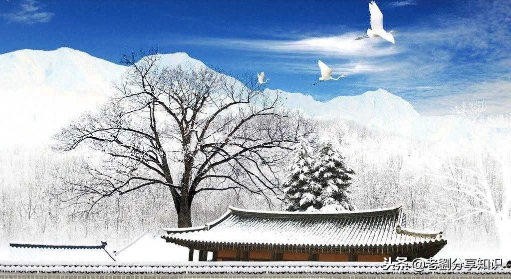 冬天到了写作文500字,冬天到了作文300字大全