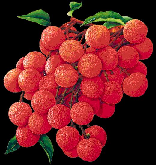 大年初五群相册，有群的都看看，太美了，这辈子见一次值了