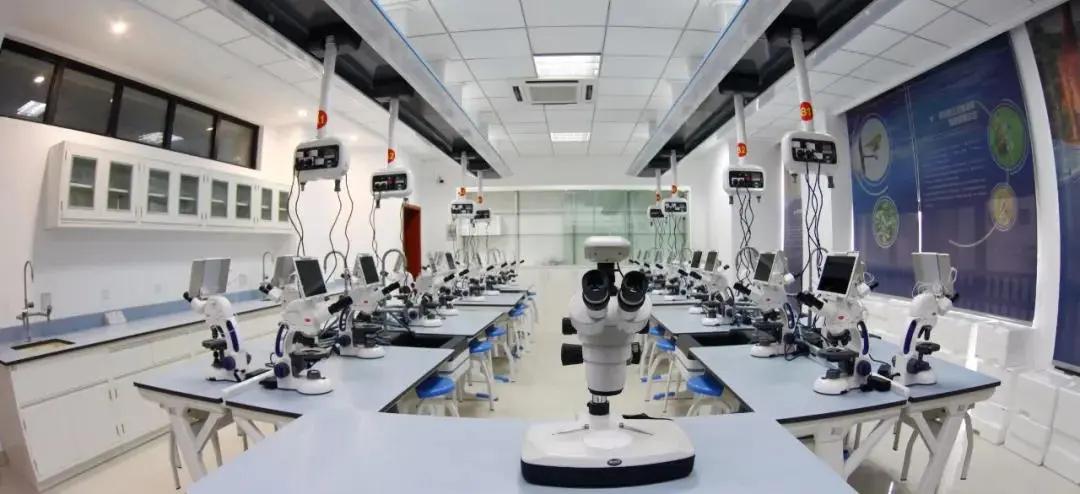 50个名额，拼手速“秒杀”！一群提前上岸的保送生连说“挖到宝了！”