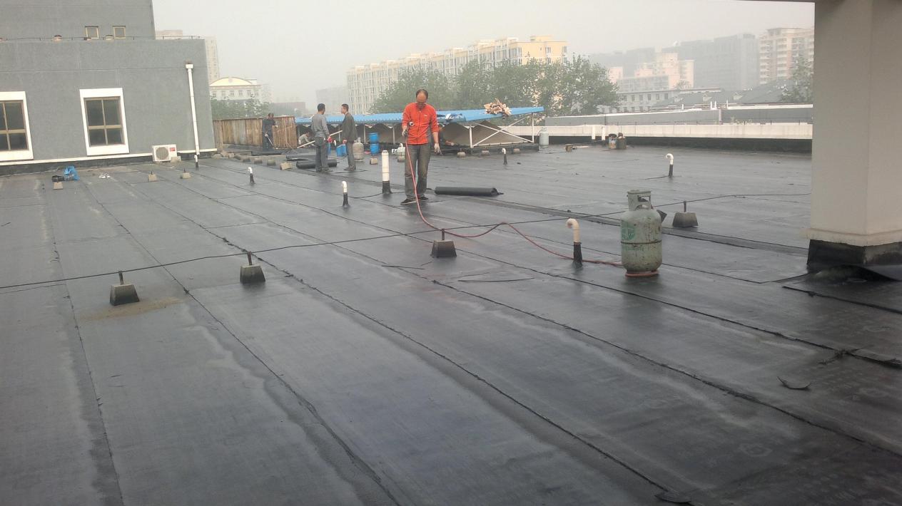 楼顶防水卷材需要拆掉吗,楼顶才做的sbs防水漏水怎么处理