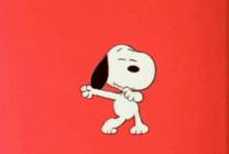 杨幂同款重磅t恤,杨幂同款小飞象短袖