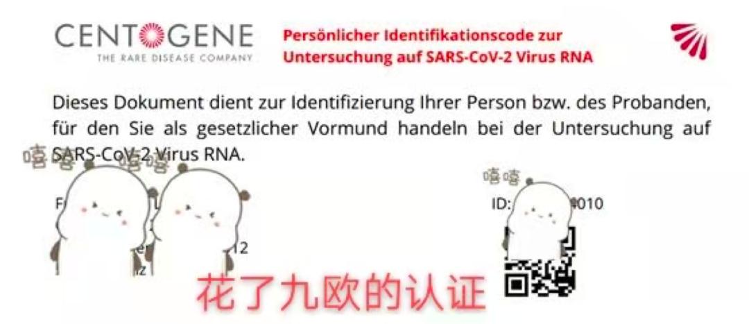 疫情现在从德国回国好吗,疫情前德国回国航班