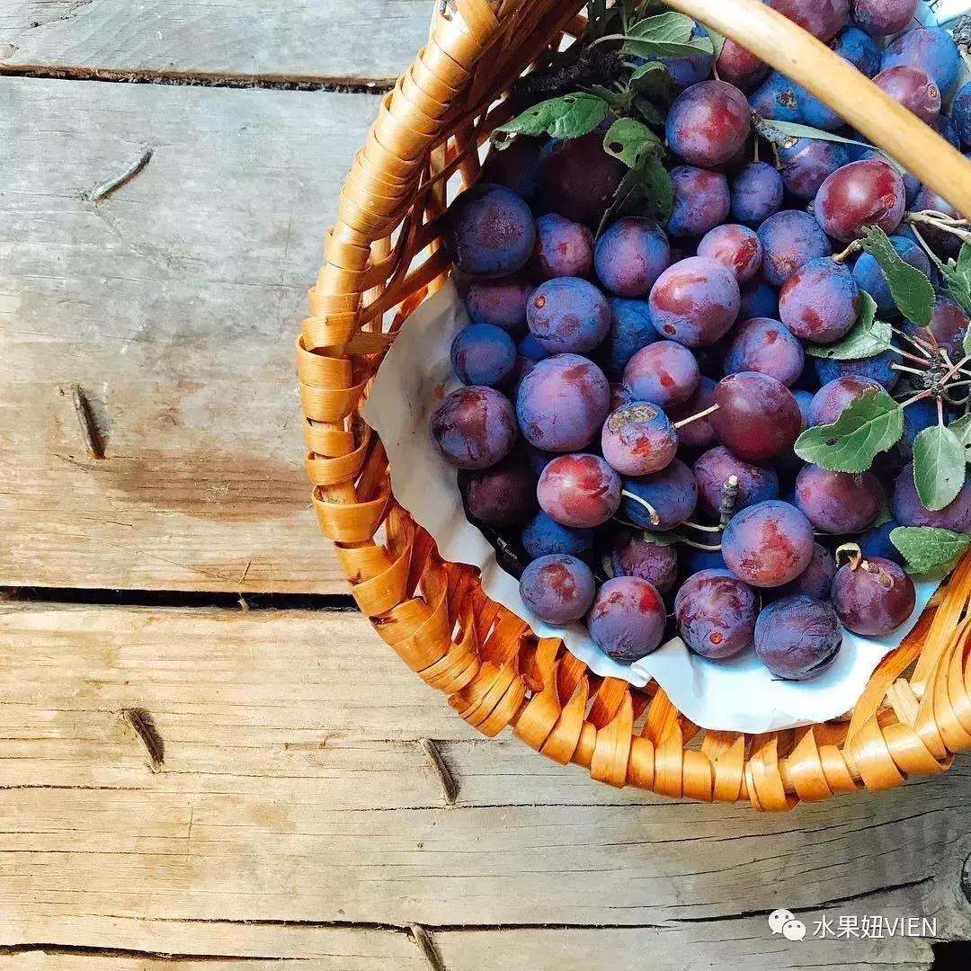西梅是外国的李子吗图片,意大利的李子和西梅的区别