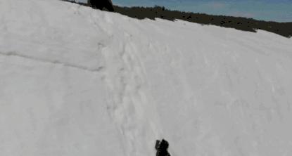 被囚34年取精，被迫亲手杀死爱子，最后只能挣扎着死去……