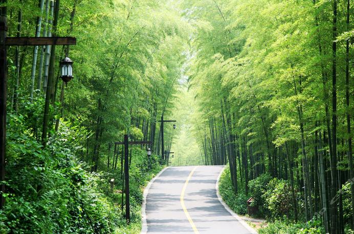 南山竹海都有什么特色,南山竹海风景简介