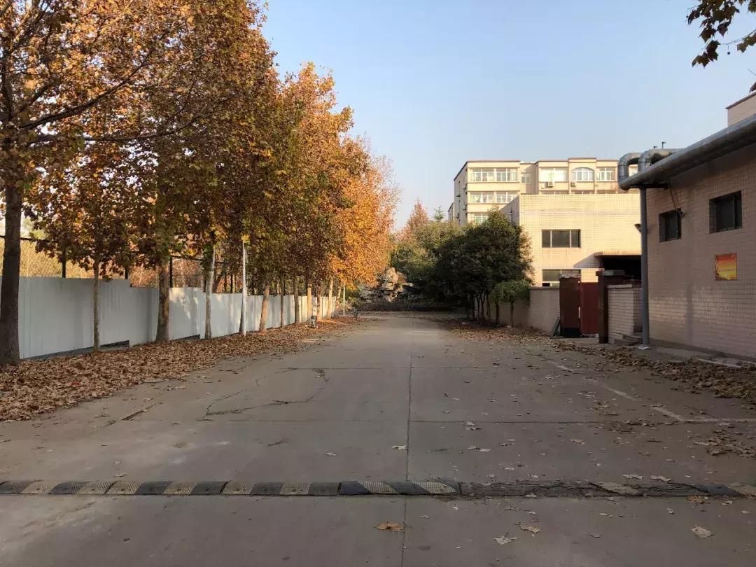 历城二中六十周年,二十年前的历城二中