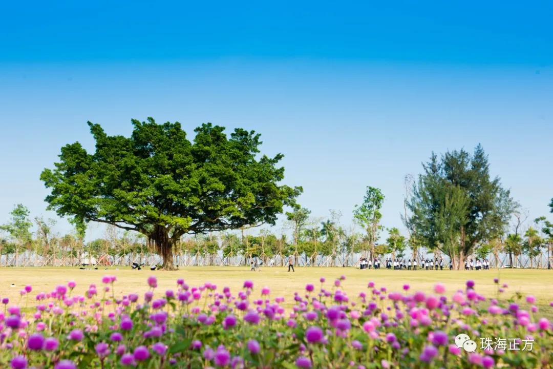 珠海买房过冬真实感受,在珠海买房十大秘诀