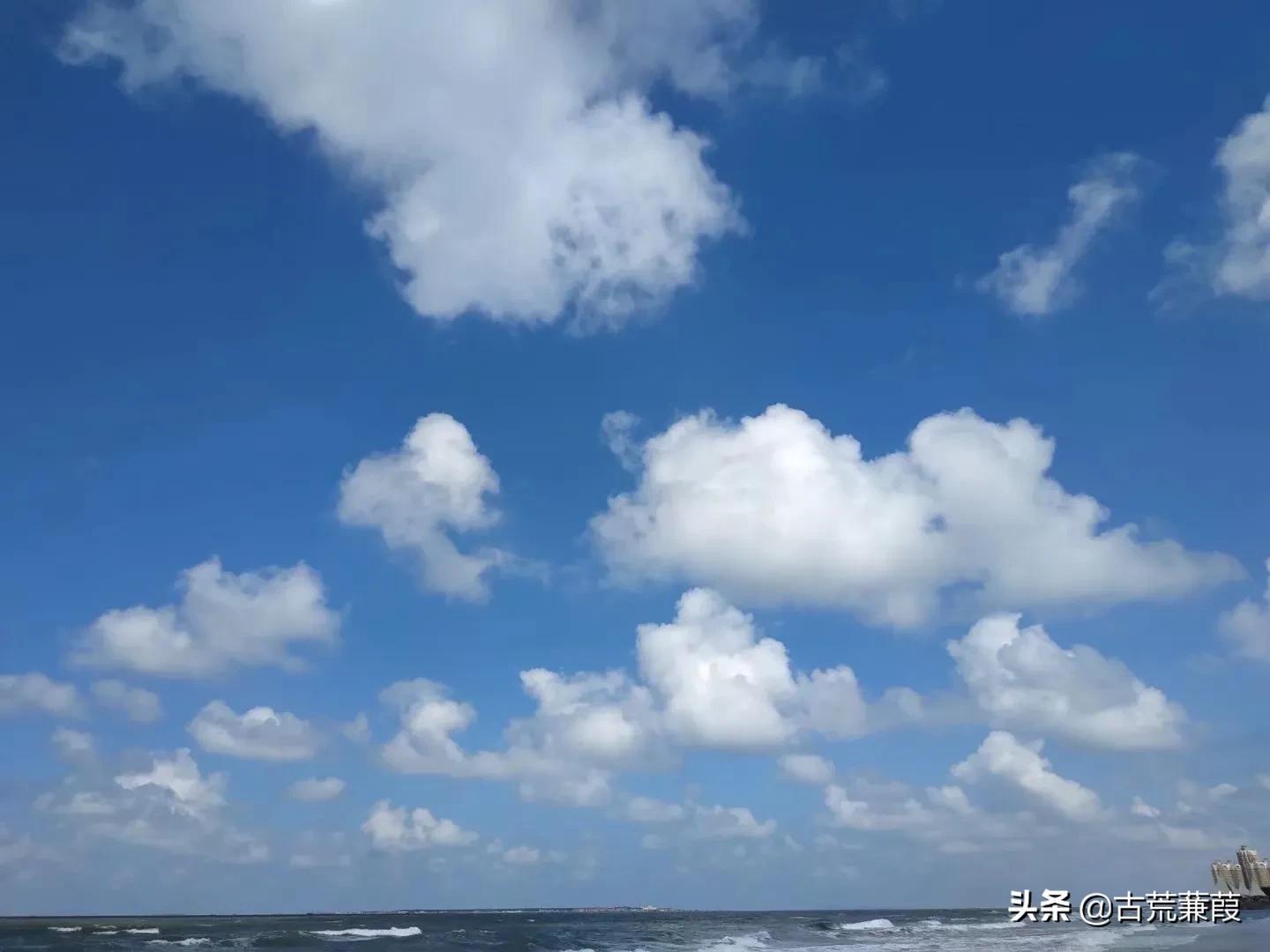 立德树人行胜于言,立德树人师者为范