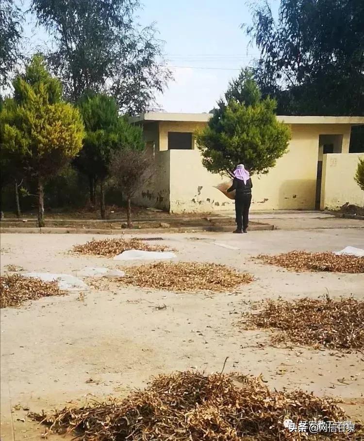 金太阳幼儿园校门,延安市甘泉谢金庄幼儿园