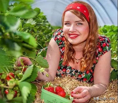 德国休闲生态农庄视频,法国休闲农业值得借鉴的经验