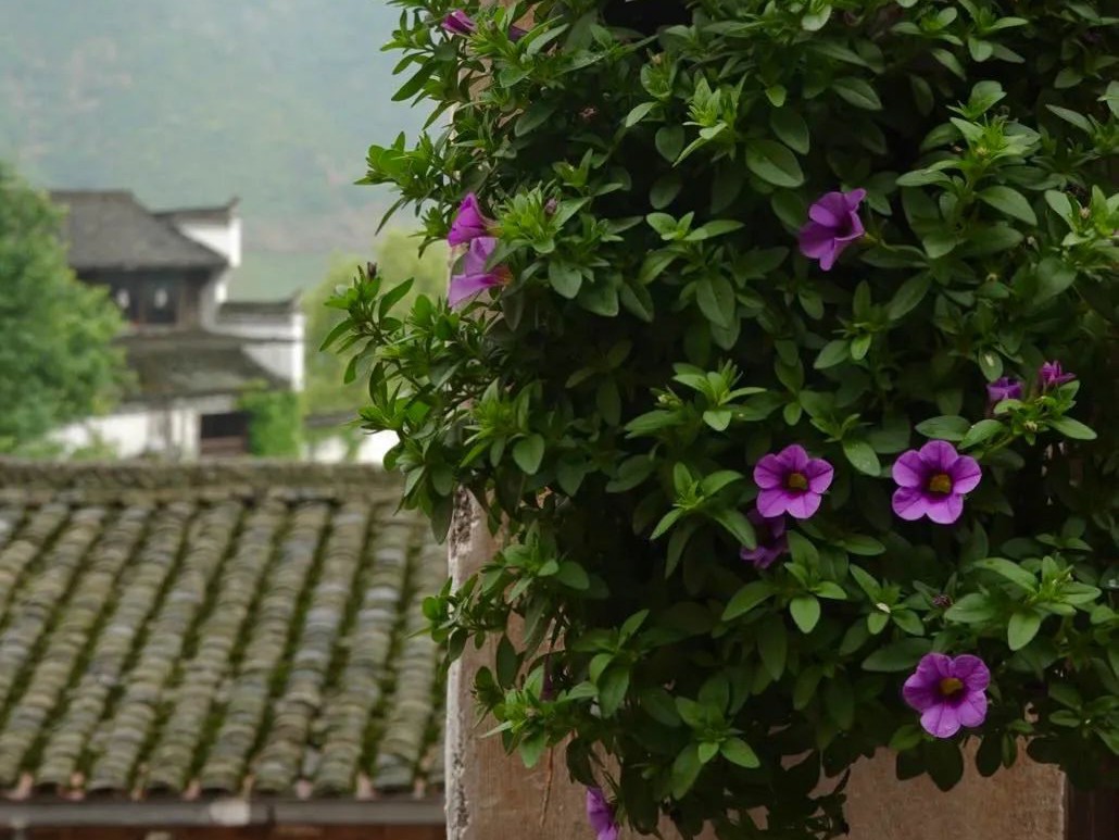 怕麻烦的英语,高中英语单词磨耳朵必背3500词汇