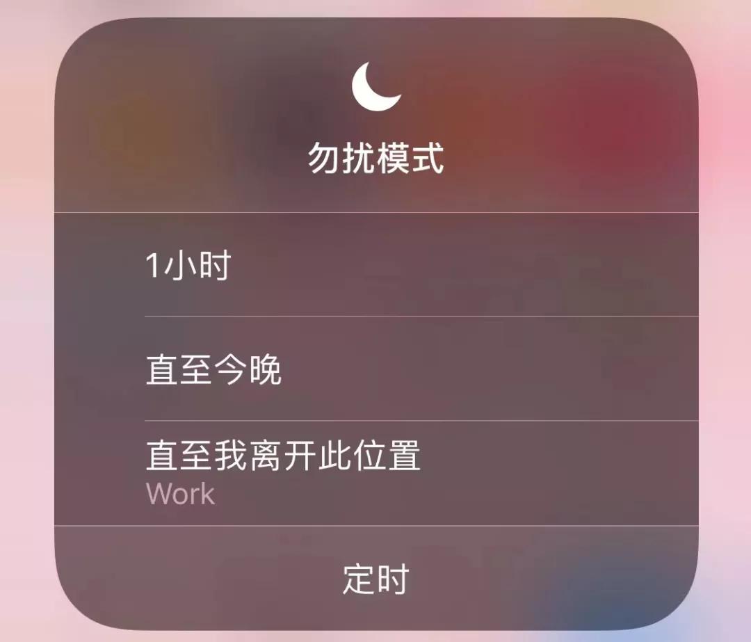 一文看懂ping,一文看懂iphone14系列