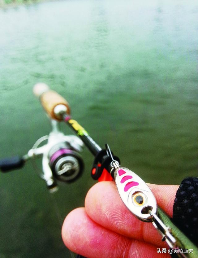 路亚钓马口的技巧和方法,怎样才能钓马口钓得多又快