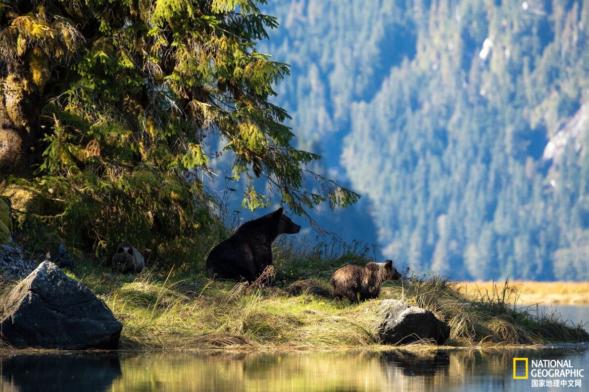 脆弱的旅游业,脆弱的旅行