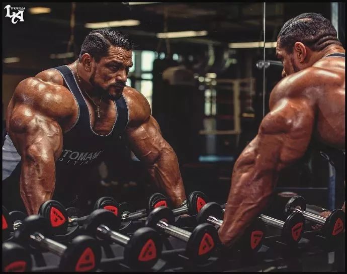 增肌太慢有什么高强度锻炼方法,增肌全身训练顺序应该怎么练