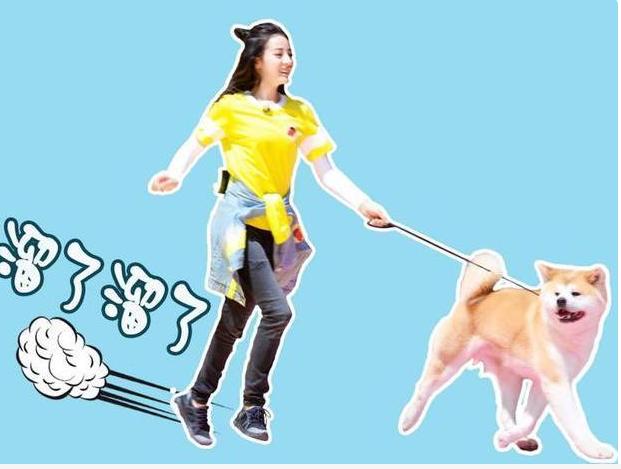 宠物狗需要每天遛狗吗,狗可以每天只遛一次吗