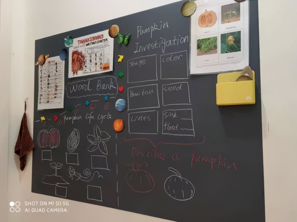 廖彩杏、吴敏兰、汪培珽,英语启蒙三大门派该如何选择?