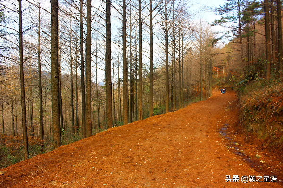 五角山航拍,五角地带