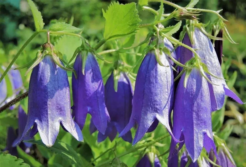 做好这三点你才能成事,做好这三点淡斑效果翻倍